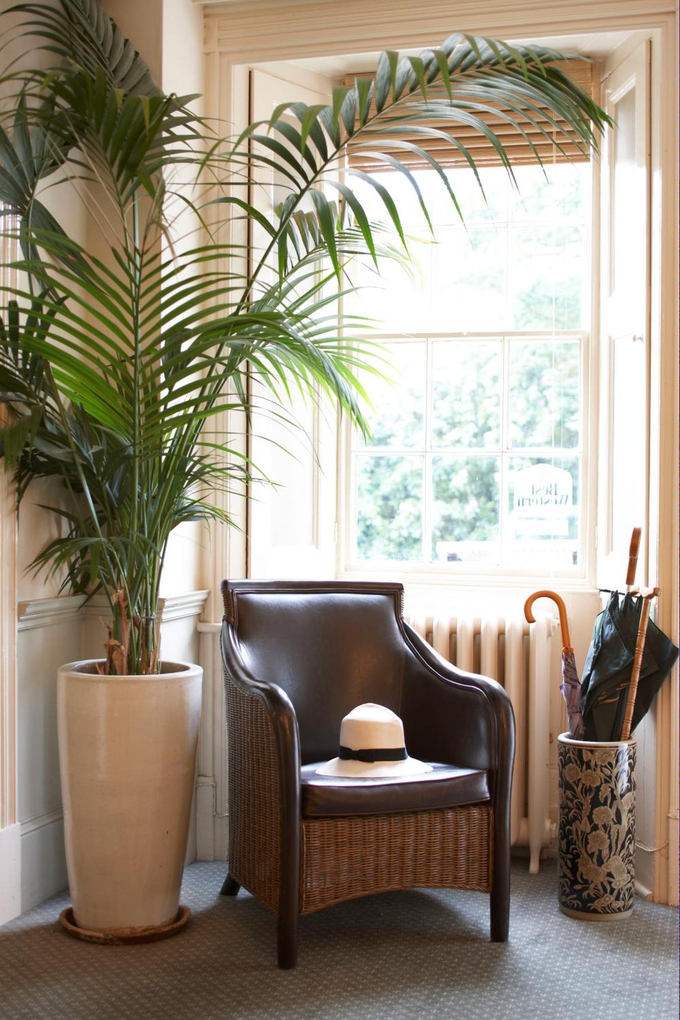 Flackley Ash Country House Hotel Peasmarsh 외부 사진